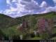 Diedenshausen (Bad Berleburg) 29.04.2025 13:51