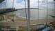 Brightlingsea 15.07.2025 13:54