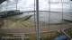 Brightlingsea 05.07.2025 13:51