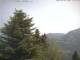 Leysin 09.06.2025 13:51