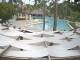 Punta Cana 14.07.2025 13:55