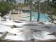 Punta Cana 06.07.2025 13:51