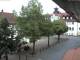 Rimbach 05.07.2025 13:45