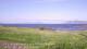 Laukvik 15.06.2025 13:52
