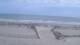 Margate City, New Jersey 30.04.2025 13:51