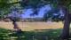Camp Verde, Texas 11.05.2025 13:54