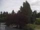 Son en Breugel 15.06.2025 14:46