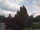 Son en Breugel 10.07.2025 14:46