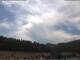 Neuenhof im Aargau 01.07.2025 14:52