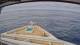 Norwegian Jewel 08.05.2025 14:46