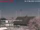 Suthfeld 10.05.2025 14:52