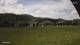 Hinterzarten 23.05.2025 14:46