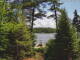 Hoel Pond, New York 10.07.2025 14:52