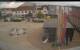 Marchtrenk 15.07.2025 14:59