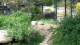 San Diego, Kalifornien 30.04.2025 14:53