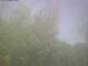 Ittigen 30.04.2025 14:46
