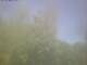 Ittigen 29.04.2025 14:46