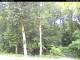 Hilversum 05.06.2025 14:54