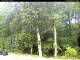 Hilversum 14.07.2025 14:00