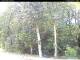 Hilversum 15.07.2025 14:00