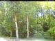Hilversum 23.03.2025 14:54