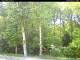 Hilversum 08.05.2025 14:54