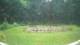 Tustin, Michigan 30.06.2025 14:53