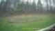 Tustin, Michigan 29.04.2025 14:54