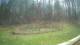Tustin, Michigan 29.04.2025 14:54