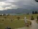 Rieden am Forggensee 14.06.2025 14:46