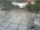 Bad Zwischenahn 08.06.2025 14:46