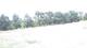 Pittsburg, Illinois 03.07.2025 14:59