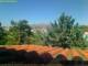 Pallini 17.03.2025 14:54