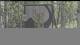 Powderhorn Resort, Colorado 14.06.2025 14:54