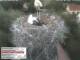 Aurach 02.07.2025 14:54