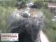 Aurach 08.05.2025 14:54