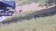 Cadzand-Bad 01.07.2025 14:54