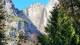 Yosemite Village, California 04.01.2025 14:55