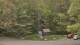 Bethlehem, Connecticut 21.03.2025 14:02