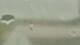 Alachua, Florida 20.06.2025 14:04