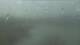 Monroe, Michigan 30.04.2025 14:06