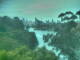Linley Point 14.07.2025 14:05
