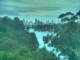 Linley Point 11.05.2025 14:55