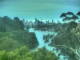 Linley Point 08.07.2025 14:54