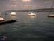 Thalwil 15.06.2025 14:46