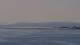 Nice 29.04.2025 14:56