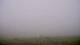 Montferrier 15.06.2025 14:56