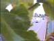 Aix-en-Provence 23.03.2025 14:57