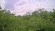Metairie, Louisiana 30.04.2025 14:09