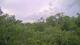 Metairie, Louisiana 11.07.2025 14:09